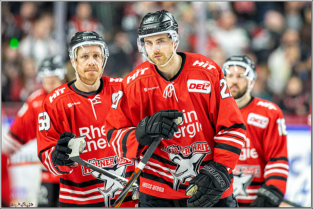 DEL;  Koelner Haie - Eisbaeren Berlin; Koeln, 12.01.2020